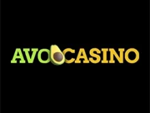 Avocasino